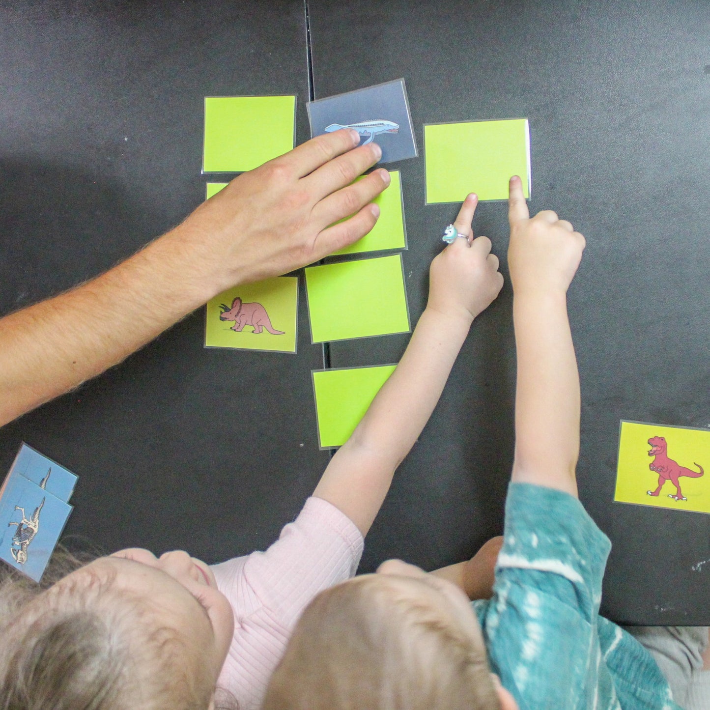 Dinosaur Matching Game